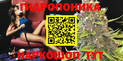 mix Кингисепп