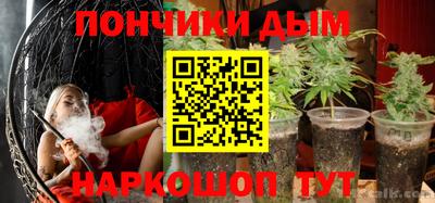 шишки Кинель