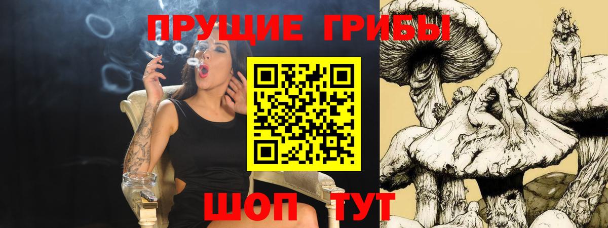 Псилоцибиновые грибы Cubensis  Псилоцибиновые грибы мухоморы  Вход с VPN  Коломна 