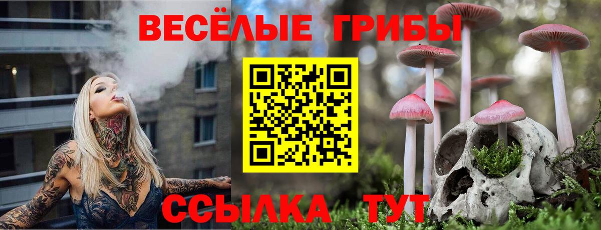 Псилоцибиновые грибы MAGIC MUSHROOMS Коломна